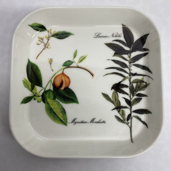Mebel Melamine Square Plates Trays Myristica Moschata Plants Made In Italy - Picture 2 of 6